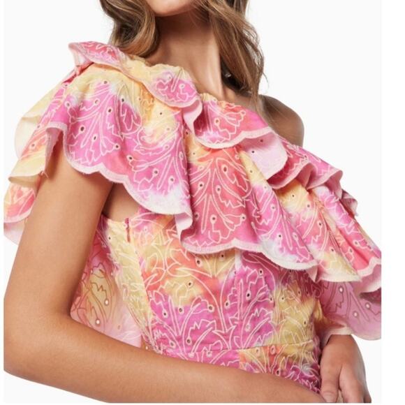 elliatt arundel pink one shoulder ruffle detail embroidered maxi summer dress - Picture 5 of 13